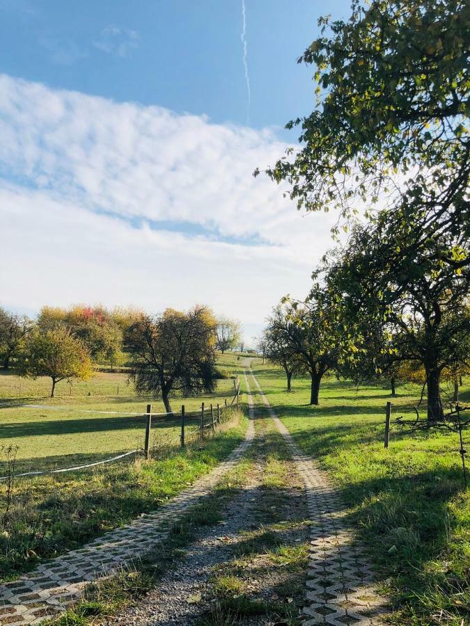Schwarzwald Boutique-Apartment Haus Rehgarten Gaggenau Eksteriør bilde